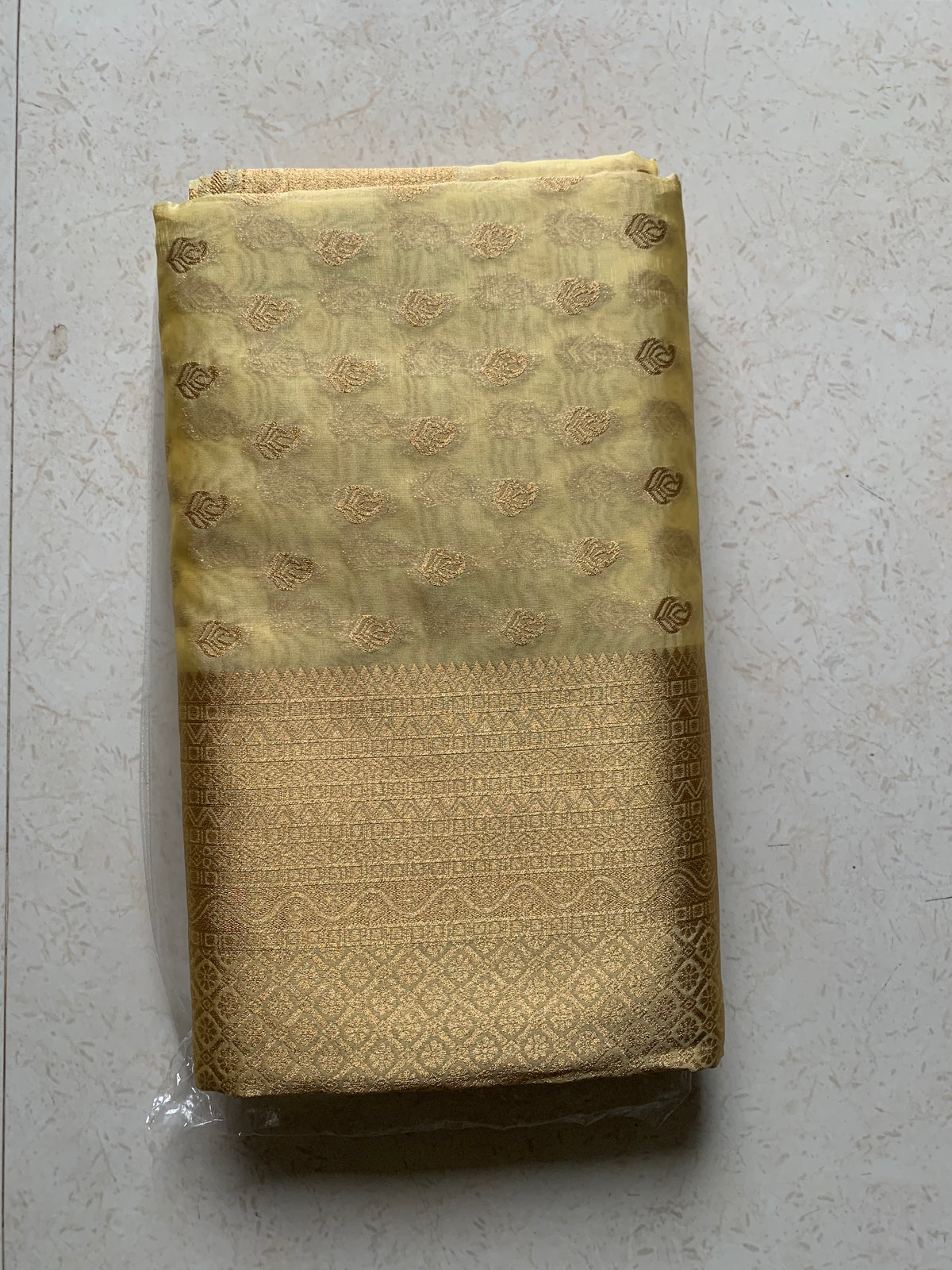 Golden Organza Designer Saree with Paisley Motifs and Intricate Patterned Border