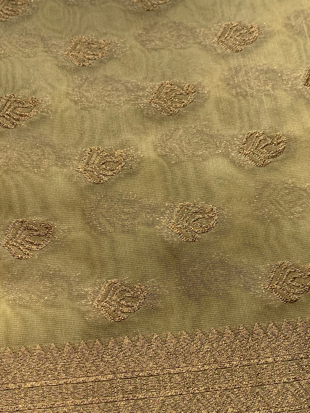 Golden Organza Designer Saree with Paisley Motifs and Intricate Patterned Border