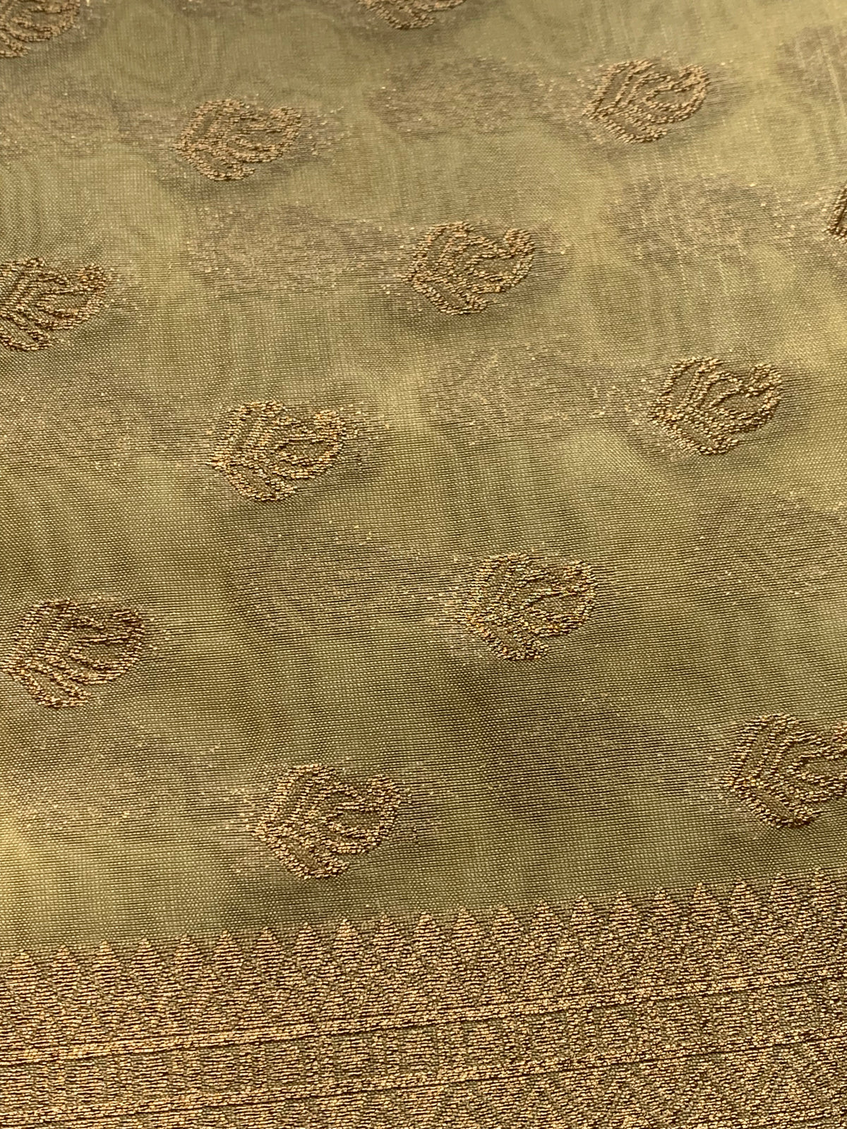 Golden Organza Designer Saree with Paisley Motifs and Intricate Patterned Border