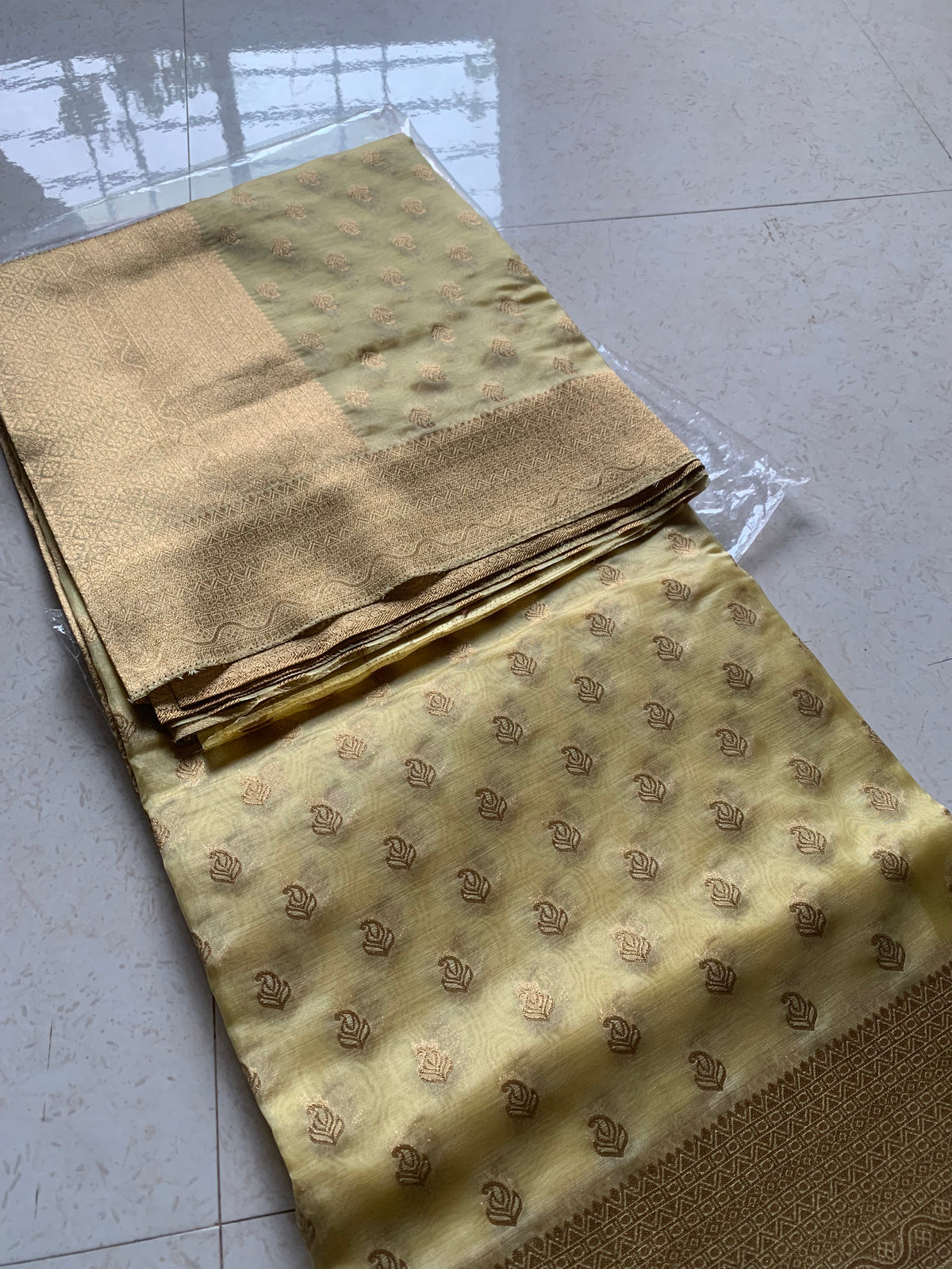 Golden Organza Designer Saree with Paisley Motifs and Intricate Patterned Border