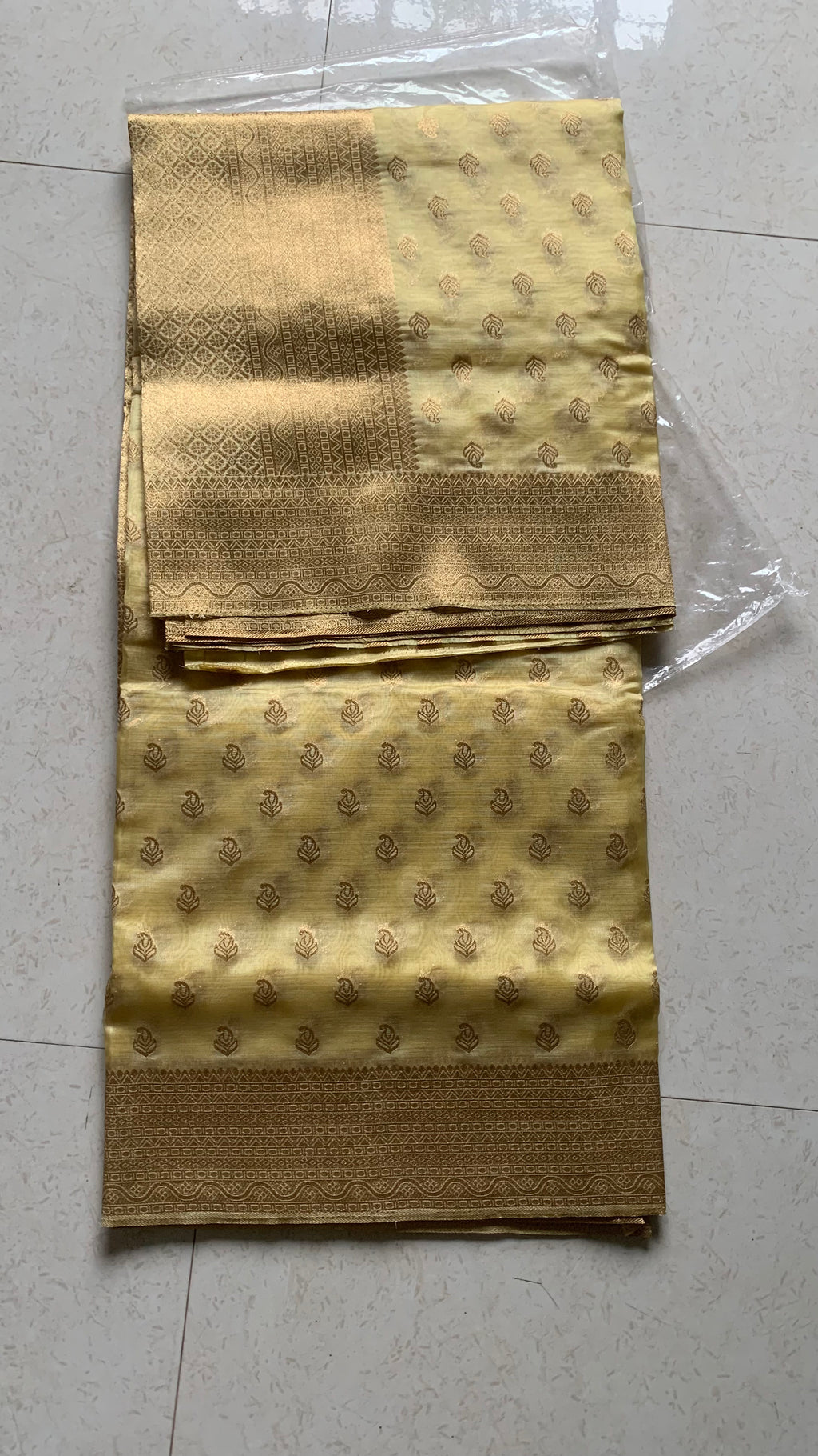 Golden Organza Designer Saree with Paisley Motifs and Intricate Patterned Border