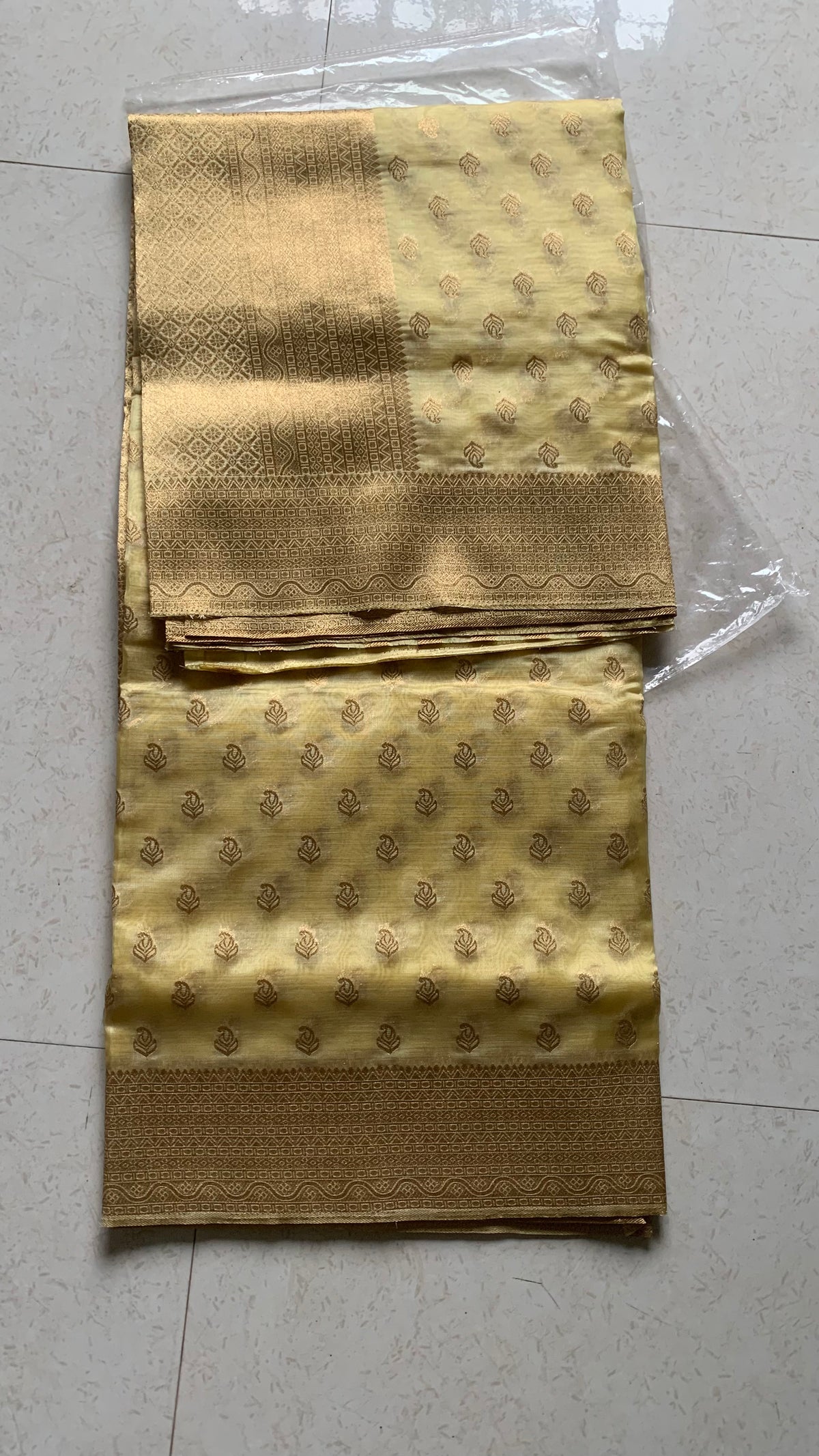 Golden Organza Designer Saree with Paisley Motifs and Intricate Patterned Border