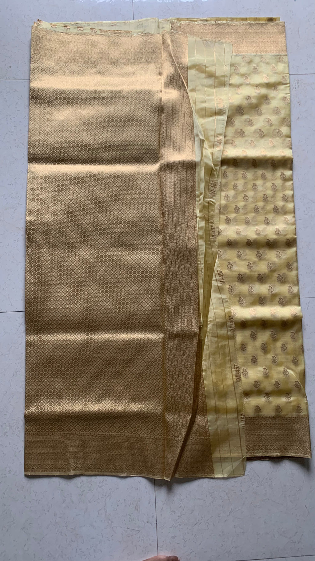 Golden Organza Designer Saree with Paisley Motifs and Intricate Patterned Border
